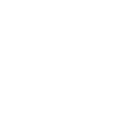 WhatsApp Icon